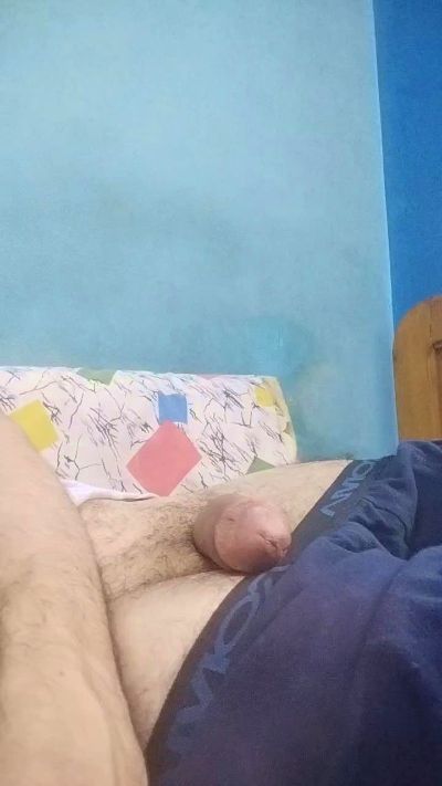 Foooox from Egypt