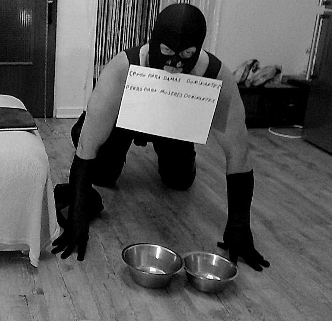 LITTLE_SOW_1 from Germany