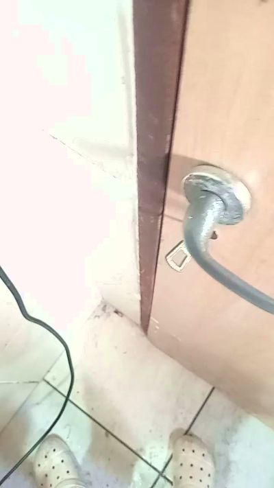 Perrodecall1 from Argentina
