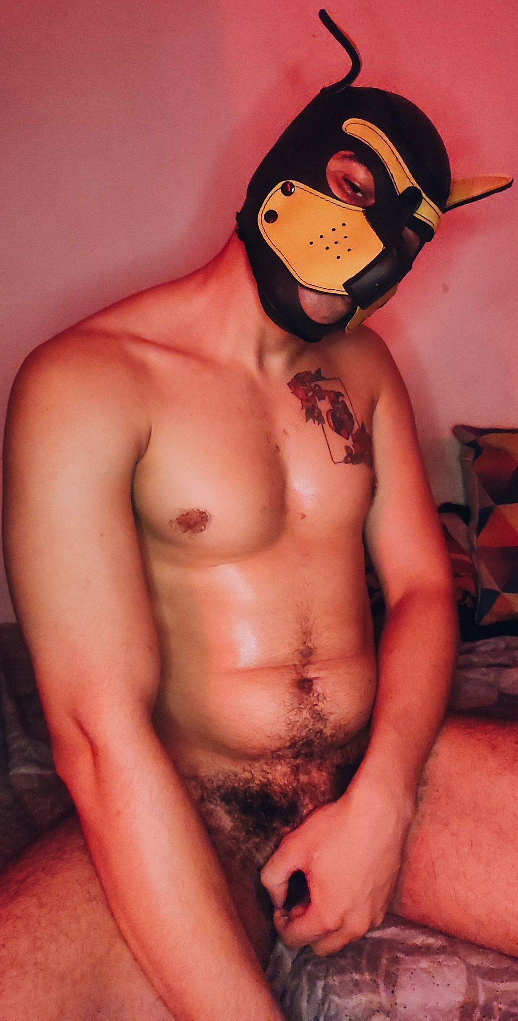 badpuppy96 from Brazil